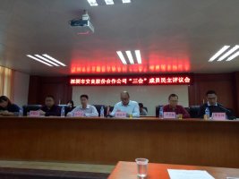 深圳市安良股份合作公司“三会”成员民主评议会